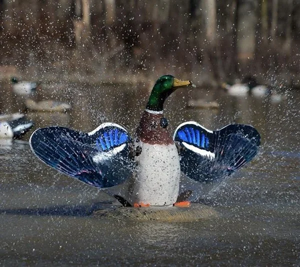 Higdon Outdoors XS Splashing Flasher Mallard Drake Moving Decoy 12V with Timer
