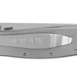 Kershaw Random Leek Reverse Tanto Assisted Folding Knife, closed side view with silver handle