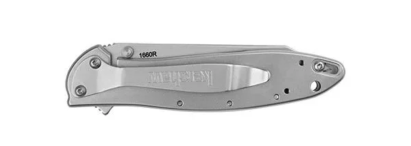 Kershaw Random Leek Reverse Tanto Assisted Folding Knife, closed side view with silver handle
