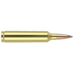 Nosler Accubond Long Range Trophy Grade Rifle Ammunition, brass cartridge with copper bullet, side view