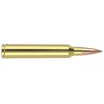 Nosler Bullets Inc. Nosler Accubond Long Range Trophy Grade Rifle Ammunition 7mm STW 175 gr PT 2950 fps 20/ct