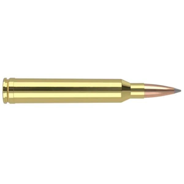 Nosler Bullets Inc. Nosler Accubond Long Range Trophy Grade Rifle Ammunition 7mm STW 175 gr PT 2950 fps 20/ct