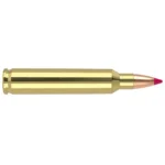 Nosler Bullets Inc. Nosler Ballistic Tip Varmint Rifle Ammunition .204 Ruger 40 gr PT 3625 fps 20/ct
