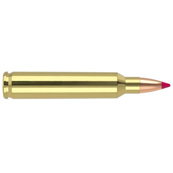 Nosler Bullets Inc. Nosler Ballistic Tip Varmint Rifle Ammunition .204 Ruger 40 gr PT 3625 fps 20/ct