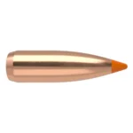 NOSLER 22 CAL 55GR 100CT