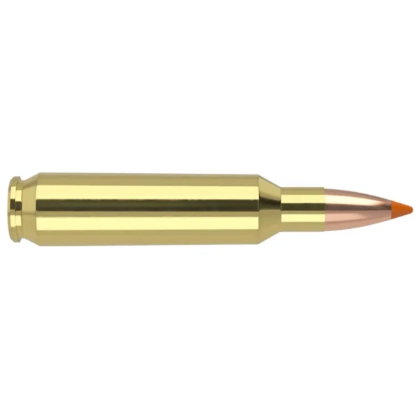 NOSLER 22NOS 55GR BT 20/200