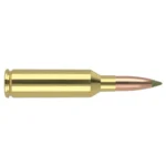Nosler E-Tip Rifle Ammunition, single brass cartridge with copper-tone bullet, side view
