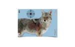 Birchwood Casey Pregame Targets - Coyote 16.5"x24" 3/ct - alternate view 3