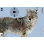 Birchwood Casey Pregame Targets - Coyote, front view with coyote, bullseye and vital zone