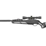 Gamo USA GAMO SWARM VIPER 10X GEN3I INRTIA 22