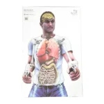 Action Target ACTION TGT BAG OF BONES 100PK