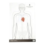 ACTION TGT FC DBL SIDE TRNG, front view of outlined figure target with orange chest detail