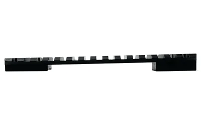 DNZ REM 700 LA PIC RAIL 20MOA W/8-40 black rail in side view with raised slots
