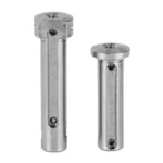 ARMASPEC TI Takedown/Pivot Pins, two silver pins standing upright