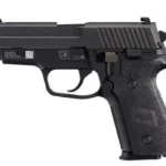 Sig Sauer Sig M11-A1 9mm 3.9" Black Night Sights SRT