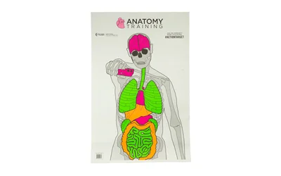 Action Target ACTION TGT ANATOMY TRNG 100PK