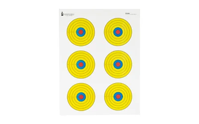 Action Target ACTION TGT BRIGHT 6 BULLSEYE 100PK