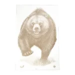 Action Target ACTION TGT AK STATE PARK BEAR 100PK