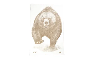 Action Target ACTION TGT AK STATE PARK BEAR 100PK