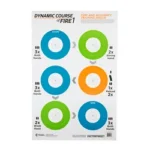 ACTION TGT GAME SERIES DYNAMIC 100PK target sheet front view with six colored circular bullseyes