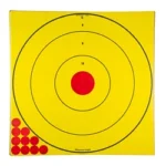 Birchwood Casey B/C SHT-N-C LONG RANGE BLSEYE TGT