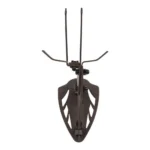 The Allen Company Inc. Allen EZ Mount Trophy Skull Hanger Brown