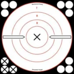 Birchwood Casey Shoot-N-C White/Black Bull's-Eye target with rings, arrows and central X