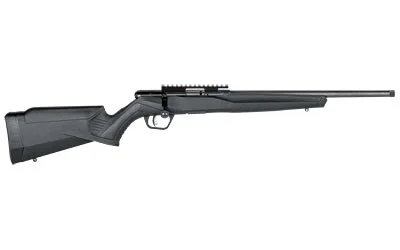 Savage Arms SAV B17 FV-SR 17HMR 16.25" TB BLK