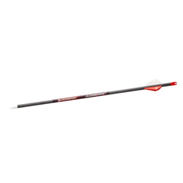 Gsm Bloodsport Judgement Arrow 350 Spine 6/pk