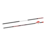 Gsm Bloodsport Punisher Arrow 350 Spine 6/pk