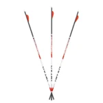 Feradyne Outdoors Carbon Express Maxima Triad XSD Hunting Arrows, three black arrows with red vanes