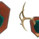 The Allen Company Inc. Allen Antler Mounting Kit - Green Skull
