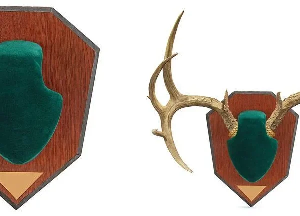 The Allen Company Inc. Allen Antler Mounting Kit - Green Skull