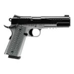 Savage Arms Savage 1911 Gov't Style Handgun 9mm Luger 10rd Magazines (2) 5" Barrel Black and Stainless with Rail