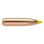 Nosler Bullets Inc. Nosler Ballistic Tip Hunting Rifle Bullets 270 cal 170g PT 50/ct