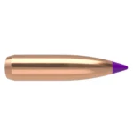 Nosler Ballistic Tip Hunting rifle bullet, side view with copper finish and purple polymer tip