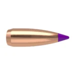 Nosler Ballistic Tip Varmint Rifle Bullets, copper-colored bullet with purple tip in side view