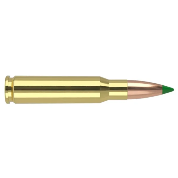 Nosler Bullets Inc. Nosler Ballistic Tip Hunting Rifle Ammunition 308 Win 125gr PT 3100 fps 20/ct