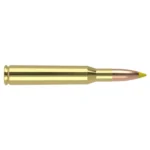 Nosler Bullets Inc. Nosler Ballistic Tip Hunting Rifle Ammunition 270 Win 140gr PT 2900 fps 20/ct