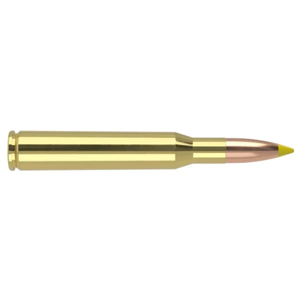 Nosler Bullets Inc. Nosler Ballistic Tip Hunting Rifle Ammunition 270 Win 140gr PT 2900 fps 20/ct