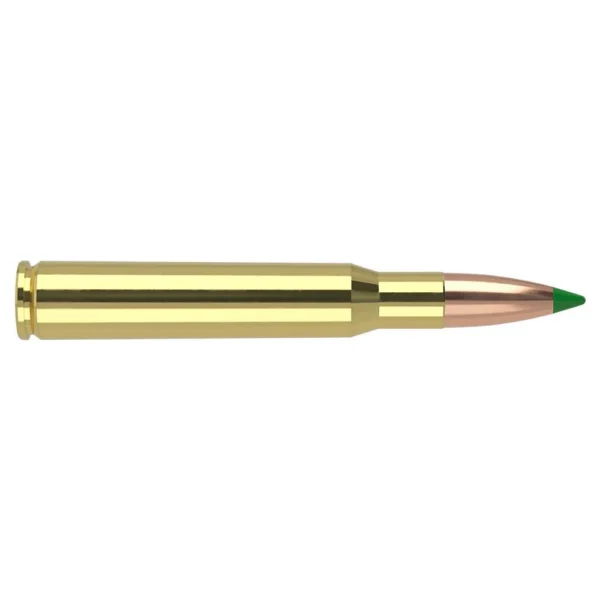Nosler Bullets Inc. Nosler Ballistic Tip Rifle Ammunition .30-06 Sprg 165gr PT 2950 fps 20/ct