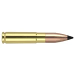 Nosler Varmegeddon rifle cartridge, side view with brass case, copper bullet and black tip