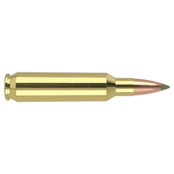 Nosler Bullets Inc. Nosler E-Tip rifle Ammunition .22 Nosler 55gr ET 3500 fps 20/ct