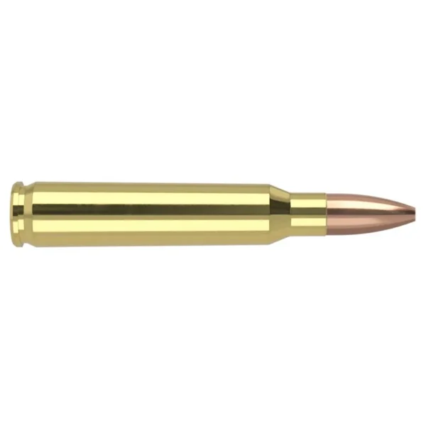 Nosler Bullets Inc. Nosler Varmegeddon Rifle Ammunition .223 Rem 62 gr FBHP 2950 fps 20/ct