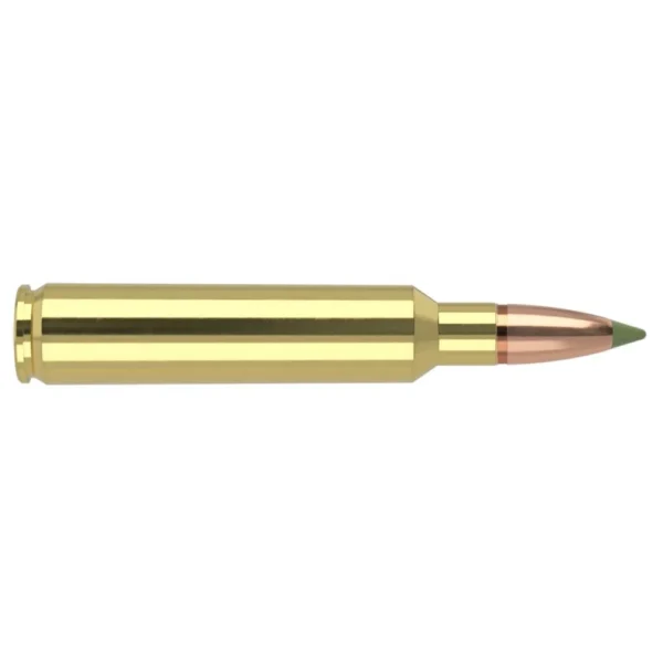 Nosler Bullets Inc. Nosler E-Tip Rifle Ammunition 30 Nosler 180gr E-Tip 3100 fps 20/ct