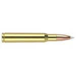 Nosler Bullets Inc. Nosler Trophy Grade Rifle Ammunition .30-06 Sprg 180 gr AB 2750 fps 20/ct