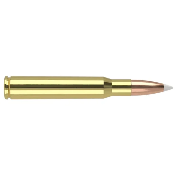 Nosler Bullets Inc. Nosler Trophy Grade Rifle Ammunition .30-06 Sprg 180 gr AB 2750 fps 20/ct