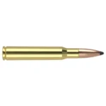 Nosler Bullets Inc. Nosler Partition Trophy Grade Rifle Ammunition .30-06 Sprg 180 gr PSP 2750 fps 20/ct