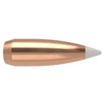 Nosler Bullets Inc. Nosler AccuBond Rifle Bullets .30 cal .308 125 gr SBT-ACB 50/ct