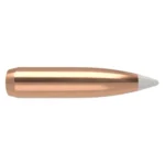 Nosler AccuBond rifle bullet, copper-coloured side view with white pointed tip